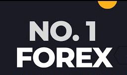No1 Forex Trading - BabylonForex.Com